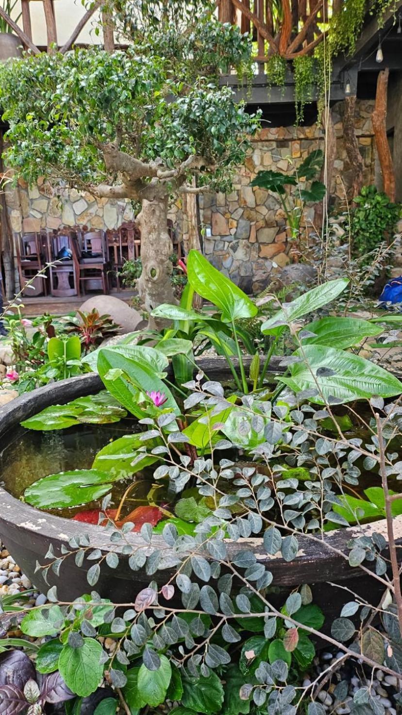 Phoenix Hotel An Bang Beach Hoi An Exterior foto